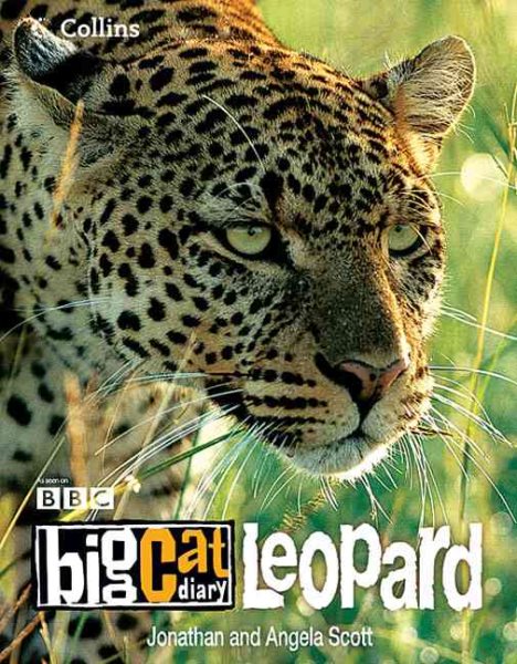 Big Cat Diary: Leopard cover