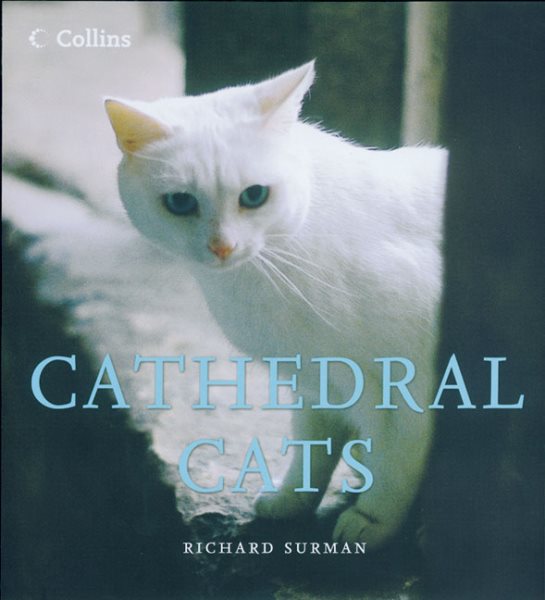 Cathedral Cats cover