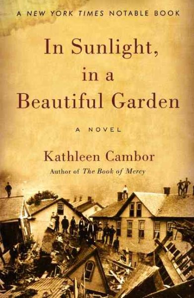 In Sunlight, in a Beautiful Garden: A Novel
