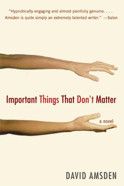 Important Things That Don't Matter: A Novel cover