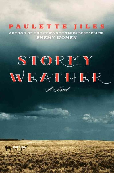 Stormy Weather: A Novel cover