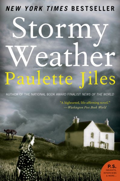 Stormy Weather: A Novel cover
