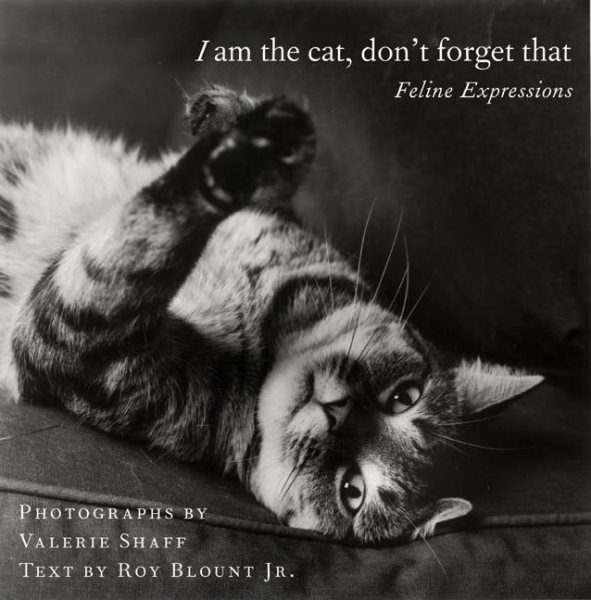 I Am the Cat, Don't Forget That: Feline Expressions cover