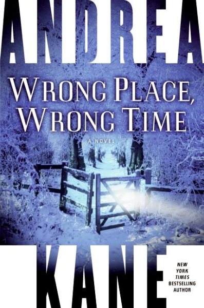 Wrong Place, Wrong Time: A Novel cover