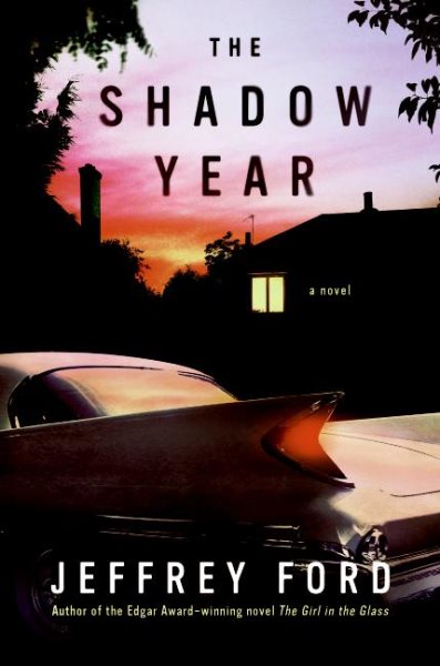 The Shadow Year: A Novel cover