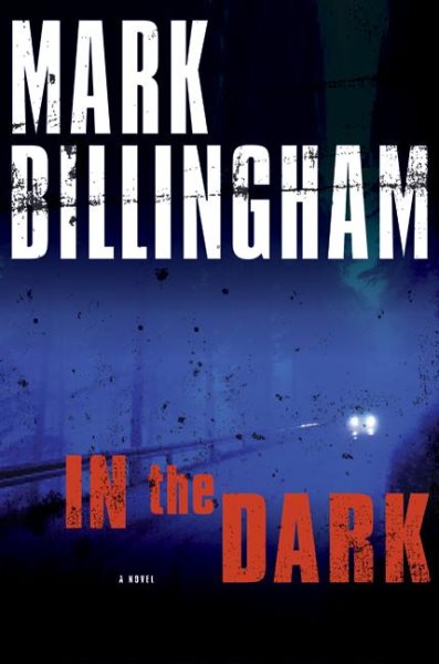 In the Dark: A Novel cover