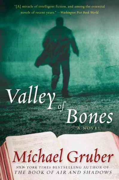 Valley of Bones: A Novel (Jimmy Paz, 2) cover