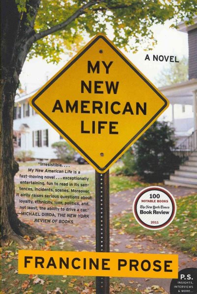My New American Life: A Novel cover