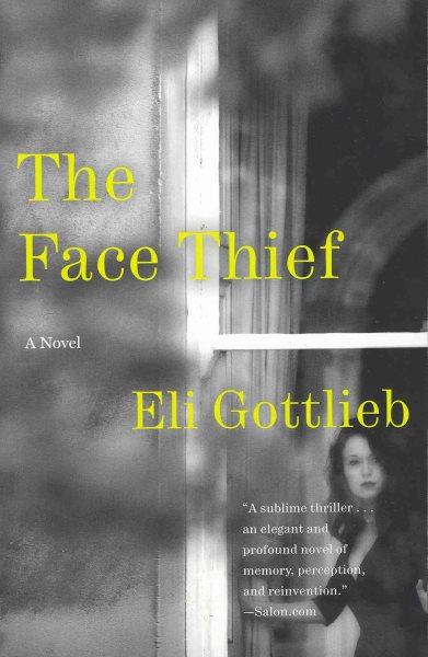 The Face Thief: A Novel cover
