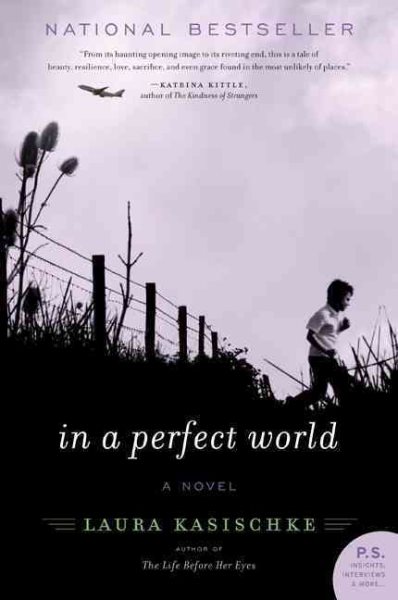 In a Perfect World: A Novel cover