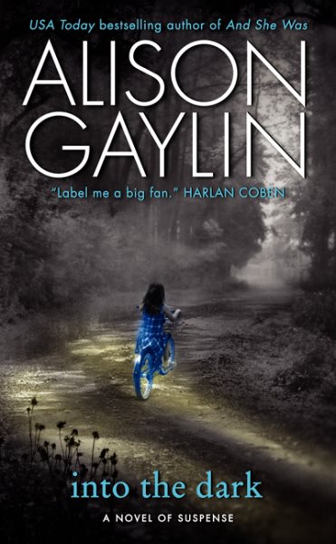 Into the Dark: A Novel of Suspense (Brenna Spector Novel, 2) cover