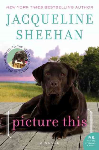 Picture This: A Novel cover