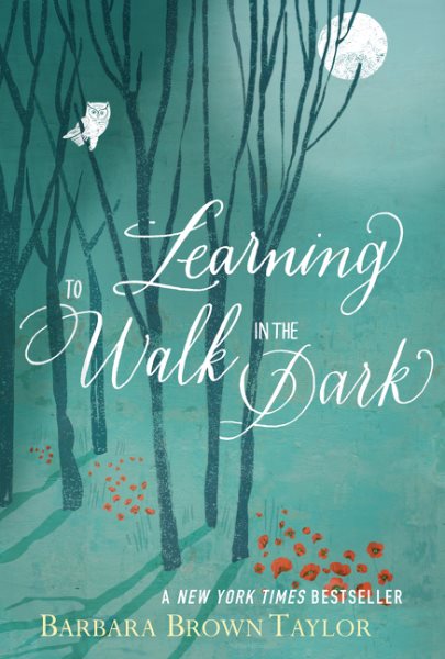 Learning to Walk in the Dark cover