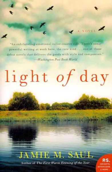 Light of Day: A Novel cover
