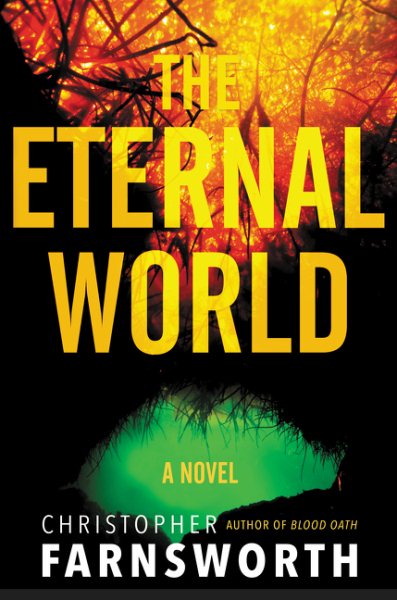 The Eternal World: A Novel cover