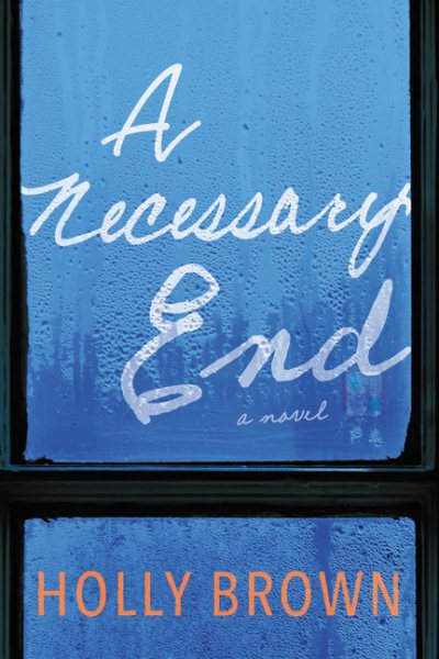 A Necessary End: A Novel cover