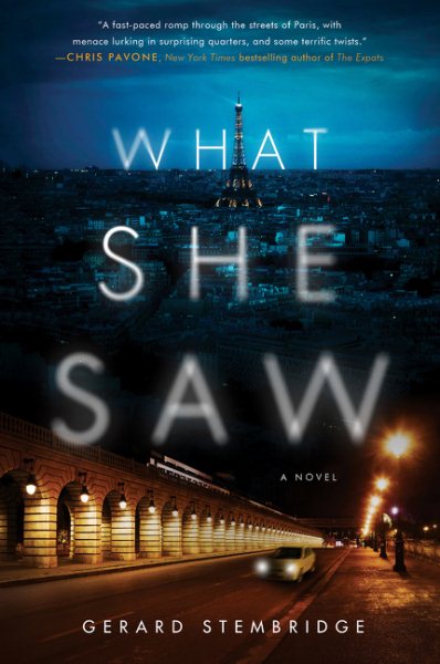 What She Saw: A Novel cover