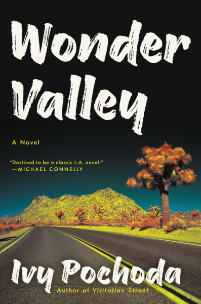 Wonder Valley: A Novel cover