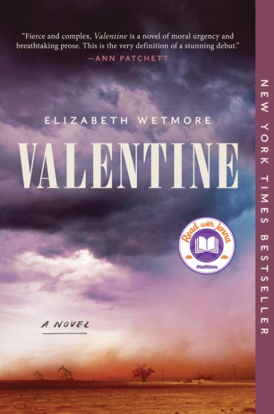 Valentine: A Novel cover