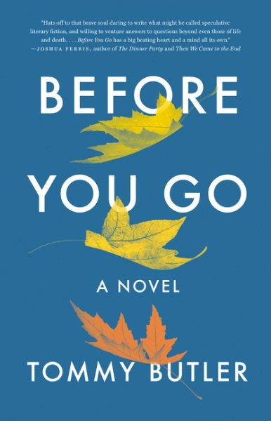 Before You Go: A Novel cover