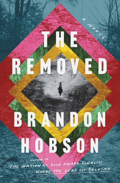 The Removed: A Novel cover