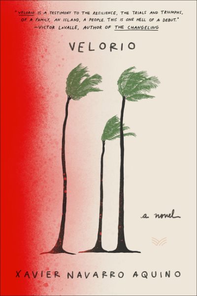Velorio: A Novel cover