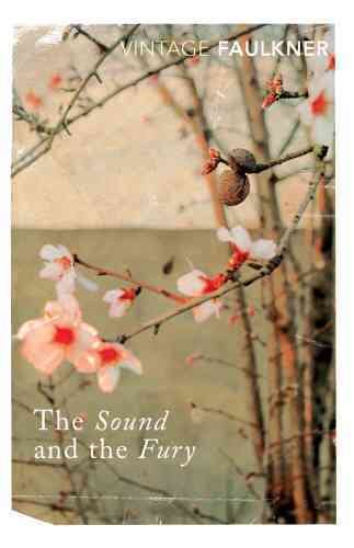 Sound and the Fury cover