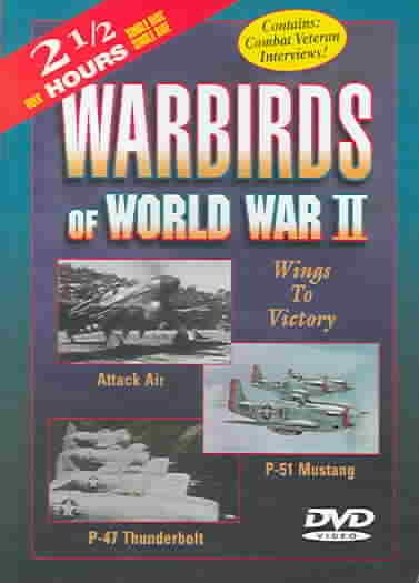 Warbirds of World War II: Wings to Victory