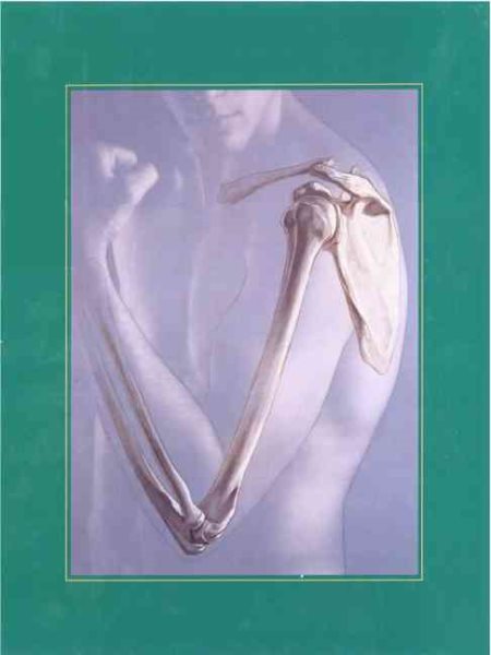Human Anatomy (3rd Edition)
