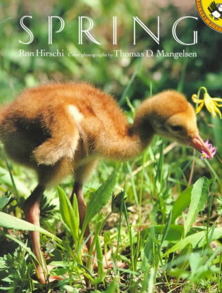 Spring (Picture Puffins) cover