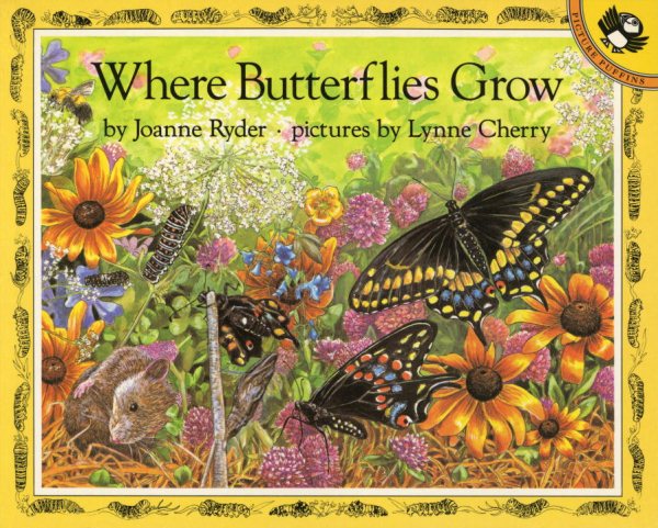 Where Butterflies Grow (Picture Puffins) cover