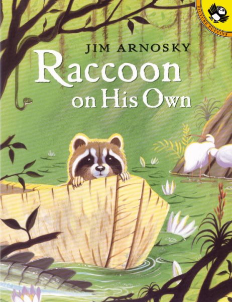 Raccoon On His Own (Picture Puffin Books) cover
