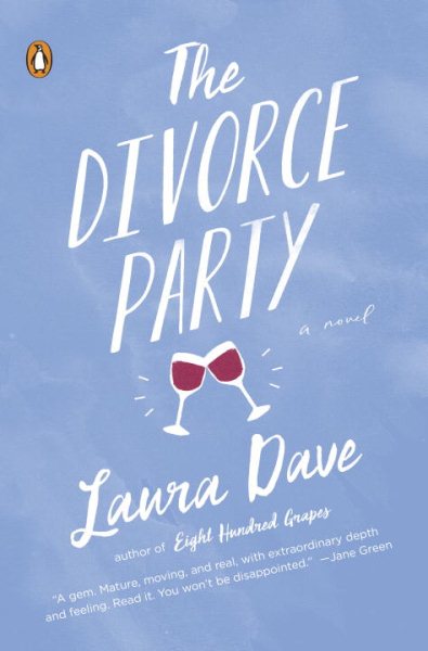 The Divorce Party: A Novel cover