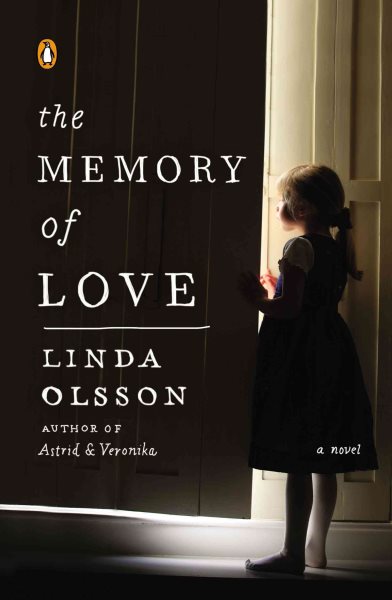 The Memory of Love: A Novel cover