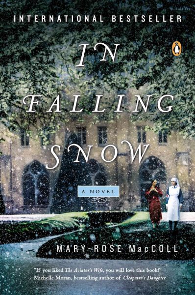 In Falling Snow: A Novel cover