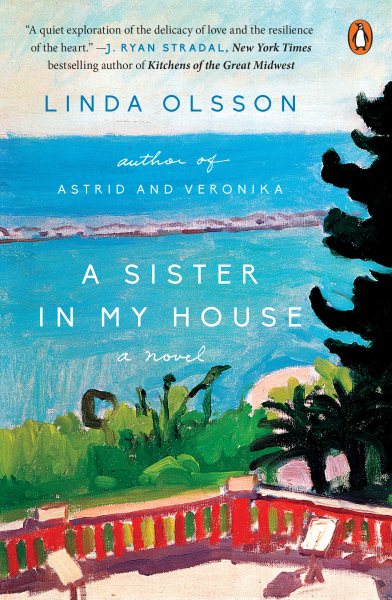A Sister in My House: A Novel cover