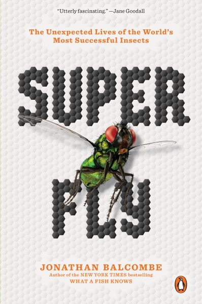 Super Fly: The Unexpected Lives of the World's Most Successful Insects cover