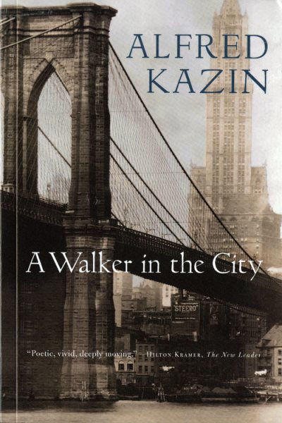 A Walker in the City cover
