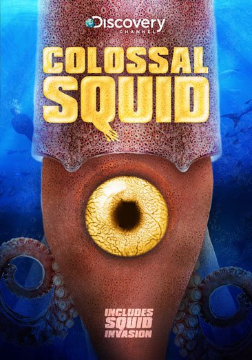 COLOSSAL SQUID
