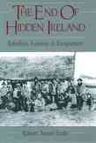 The End of Hidden Ireland: Rebellion, Famine, and Emigration cover