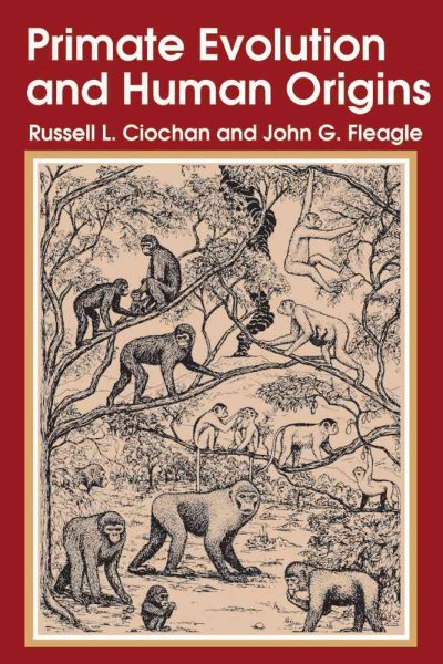 Primate Evolution and Human Origins (Foundations of Human Behavior) cover