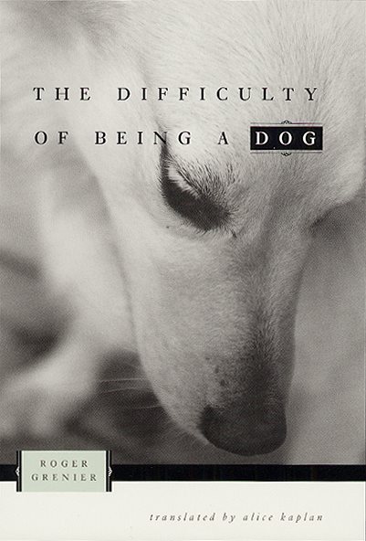 The Difficulty of Being a Dog cover