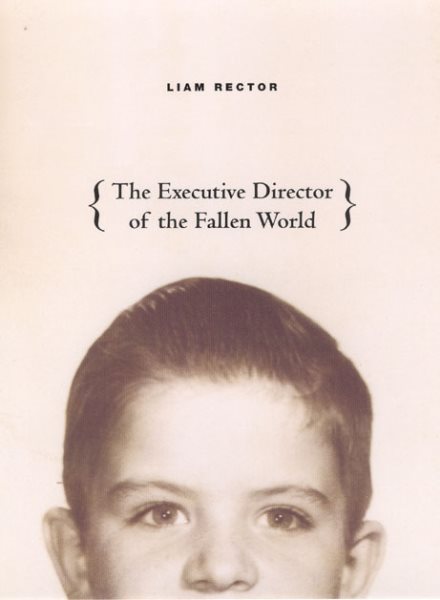 The Executive Director of the Fallen World (Phoenix Poets Series) cover
