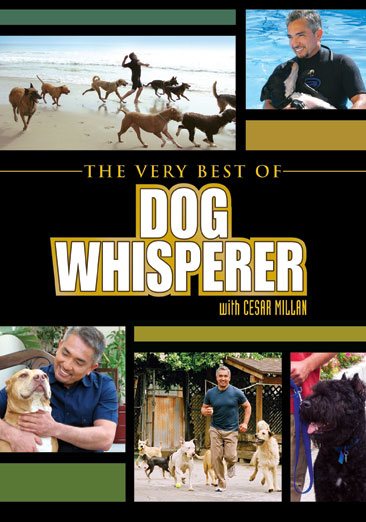 The Very Best of Dog Whisperer with Cesar Millan cover