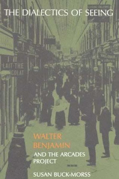 The Dialectics of Seeing: Walter Benjamin and the Arcades Project (Studies in Contemporary German Social Thought) cover