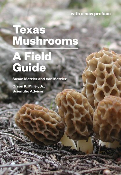 Texas Mushrooms: A Field Guide (Corrie Herring Hooks Series) cover