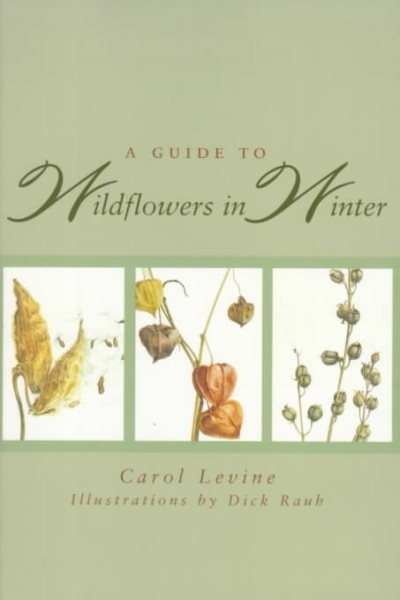 A Guide to Wildflowers in Winter: Herbaceous Plants of Northeastern North America cover