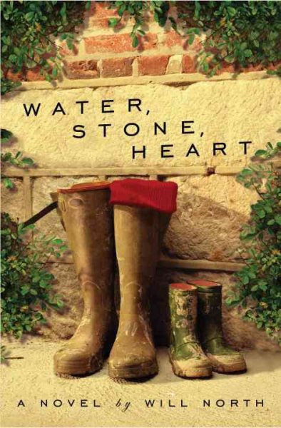 Water, Stone, Heart: A Novel cover