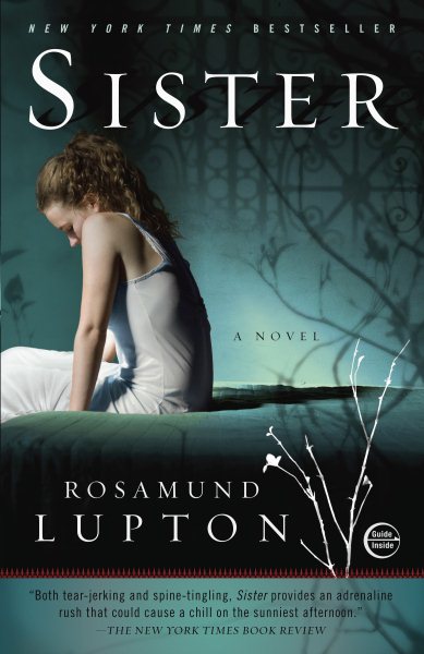 Sister: A Novel cover
