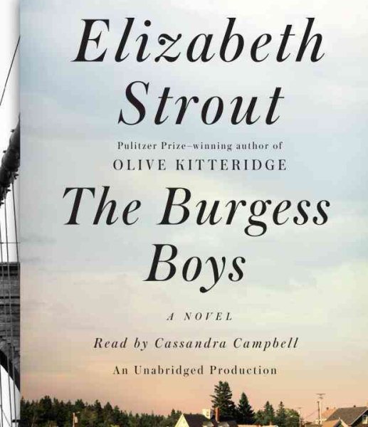The Burgess Boys: A Novel cover